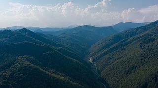 roventura sâmbătă kanal d