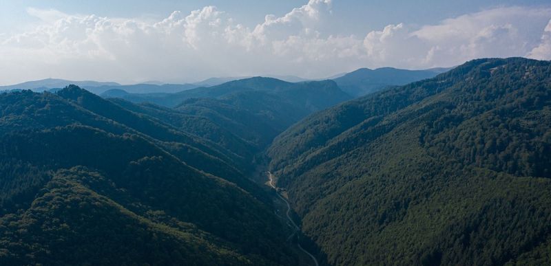 roventura sâmbătă kanal d