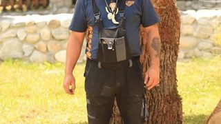 roventura sâmbătă kanal d