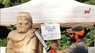 roventura sâmbătă kanal d