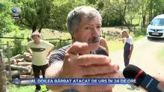 Al doilea barbat atacat de urs in 24 de ore