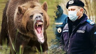 VIDEO | Atacurile urșilor, tot mai furibunde