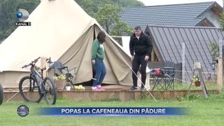 Popas la cafeneaua din padure