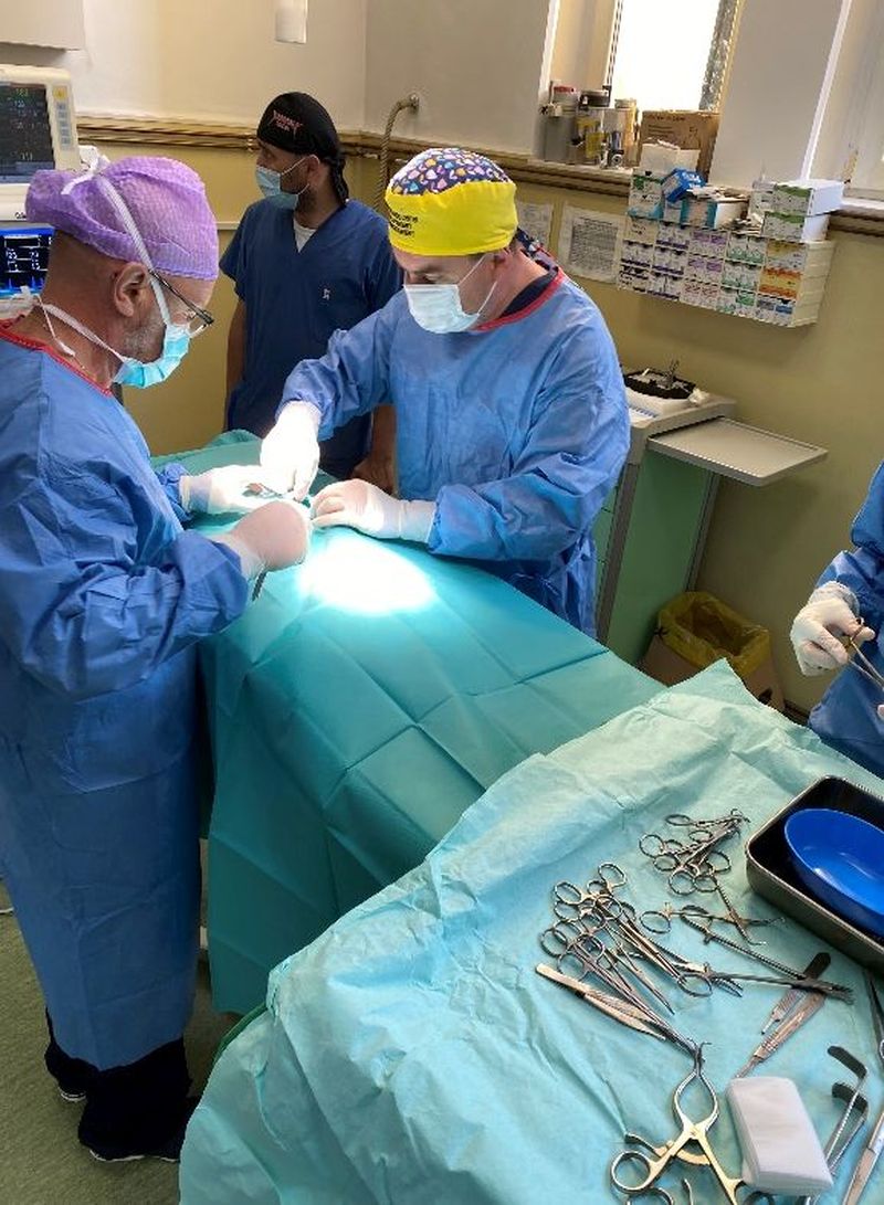 operație în premieră pisica alma salvată