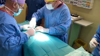 operație &icirc;n premieră pisica alma salvată