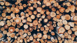 Iarnă grea pentru români. Lemnul de foc s-a scumpit cu 30% în cea mai complicată iarnă energetică a țării