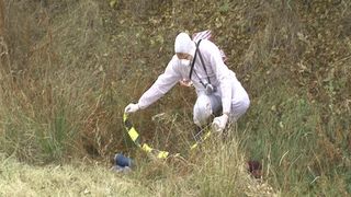 Moarte șocantă pe câmp