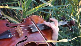 Muzică experiment, un concert al naturii în Parcul Natural Văcărești