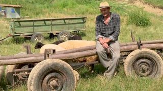 Duminica aceasta, de la ora 14:30, la “Asta-i România!”,  Întregalde - Cătunul cu șapte oameni