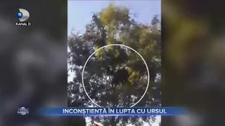 Inconștiență &icirc;n lupra cu ursul