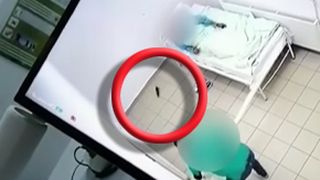 VIDEO | Imagini șocante surprinse la Spitalul de Psihiatrie Socola din Iași: șobolanii mișună nestingheriți printre bolnavii din saloane