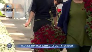 Flori pentru Sfânta Parascheva