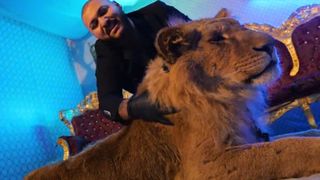 VIDEO | Leul folosit folosit de cântăreţul Dani Mocanu a fost preluat de autorități şi va ajunge în Africa