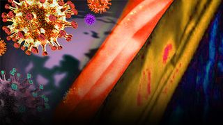 VIDEO| „Tulpina românească COVID-19” ar fi un coșmar