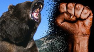 VIDEO| Localnicii s-au luptat cu ursul până l-au ucis