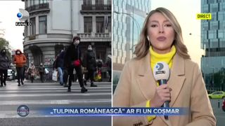 Tulpina rom&acirc;nească COVID-19