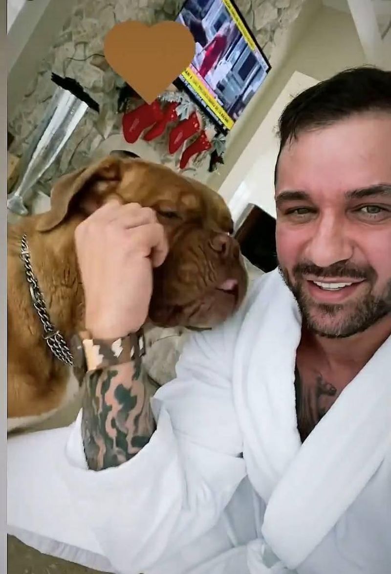 alex bodi arestat 11 octombrie 2021