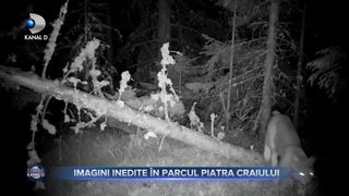 Imagini inedite în Parcul Piatra Craiului