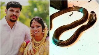 Un indian și-a ucis soția cu o cobră, după ce femeia nu a murit din cauza unei vipere