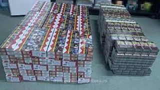 Contrabandă cu țigări. Acestea erau ascunse în stupi de albine