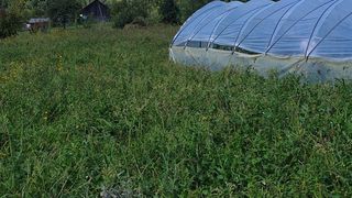 S&acirc;mbăta aceasta, de la ora 15:00, &icirc;n &rdquo;ROventura&rdquo;, Ținutul Neamțului  ﻿