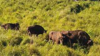 S&acirc;mbăta aceasta, de la ora 15:00, &icirc;n &rdquo;ROventura&rdquo;, Ținutul Neamțului  ﻿