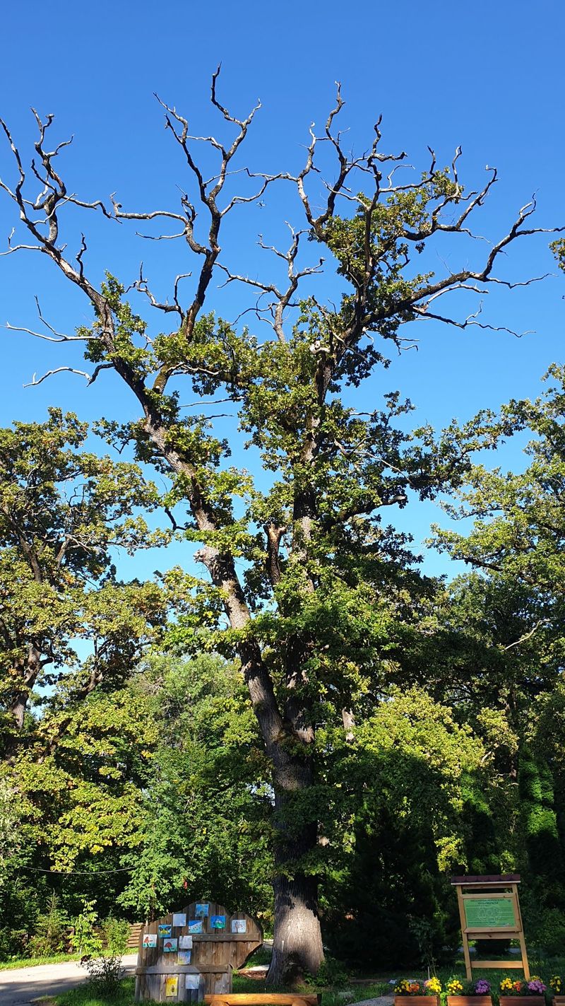 Sâmbăta aceasta, de la ora 15:00, în ”ROventura”, Ținutul Neamțului  ﻿