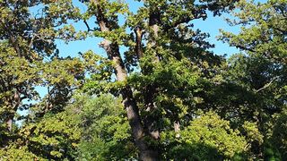 S&acirc;mbăta aceasta, de la ora 15:00, &icirc;n &rdquo;ROventura&rdquo;, Ținutul Neamțului  ﻿