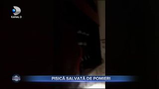 Pisică salvată de pompieri