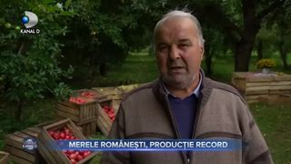 Merele rom&acirc;nești, producție record