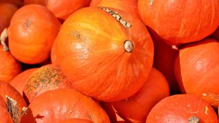 Reteta de dovleac copt la cuptor