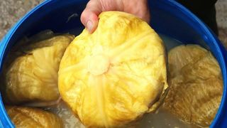 Când se pune varza la murat? Reţeta secretă a bunicii