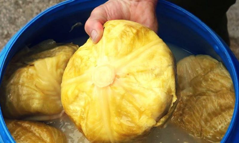 Când se pune varza la murat? Reţeta secretă a bunicii