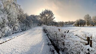 Care este prognoza pentru iarna 2021-2022?