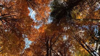 Vremea se răcește puternic în toată țara