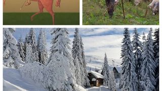 Sfântul Dumitru 2021: Tradiţii pentru sărbătoarea de azi