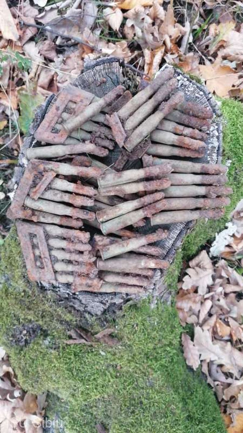 Descoperire incredibilă în Sibiu: Au fost găsit 50 de cartușe neexplodate din al doilea Război Mondial