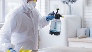 Dăunătorii pot fi combătuți cu ajutorul unei firme care deține autorizații și certificări