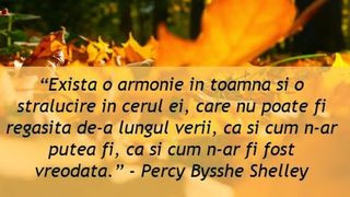 Mesaje pentru luna noiembrie 2021: Felicitări frumoase pentru reţelele sociale