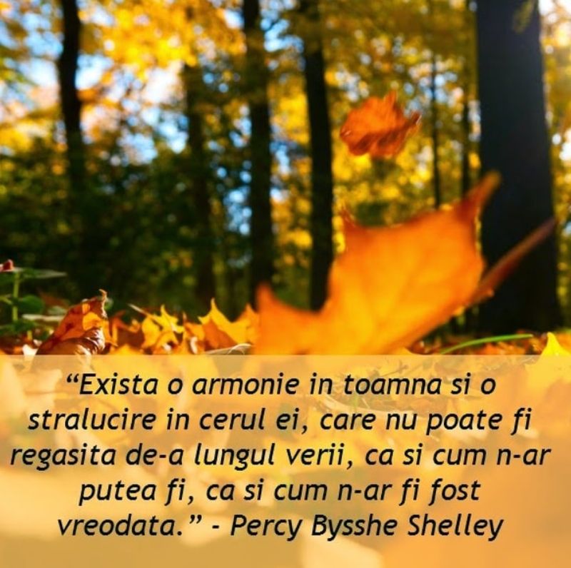 Mesaje pentru luna noiembrie 2021: Felicitări frumoase pentru reţelele sociale