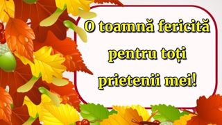Mesaje pentru luna noiembrie 2021: Felicitări frumoase pentru reţelele sociale