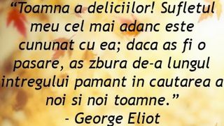 Mesaje pentru luna noiembrie 2021: Felicitări frumoase pentru reţelele sociale