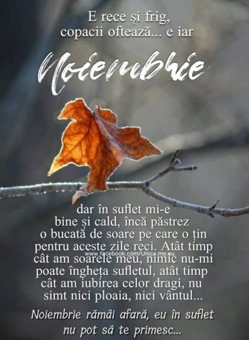 Mesaje pentru luna noiembrie 2021: Felicitări frumoase pentru reţelele sociale