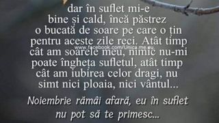 Mesaje pentru luna noiembrie 2021: Felicitări frumoase pentru reţelele sociale