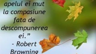 Mesaje pentru luna noiembrie 2021: Felicitări frumoase pentru reţelele sociale