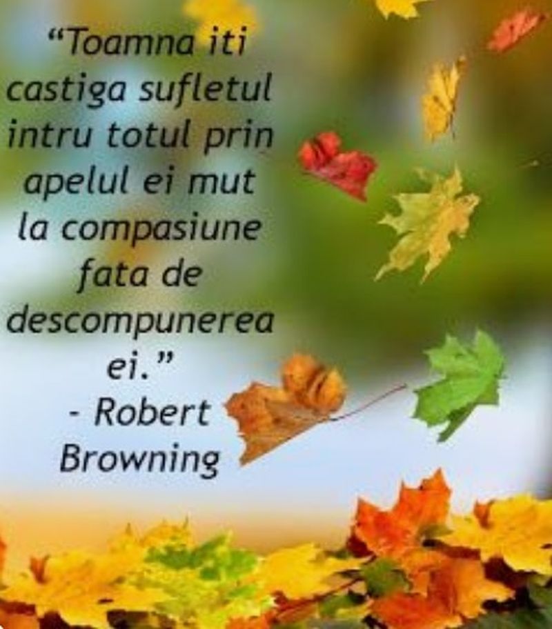 Mesaje pentru luna noiembrie 2021: Felicitări frumoase pentru reţelele sociale