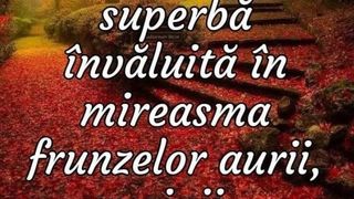 Mesaje pentru luna noiembrie 2021: Felicitări frumoase pentru reţelele sociale