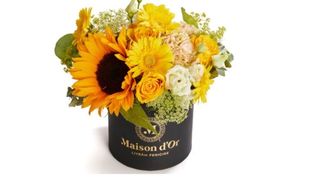 Ce flori pot fi dăruite toamna persoanelor dragi din viața ta?