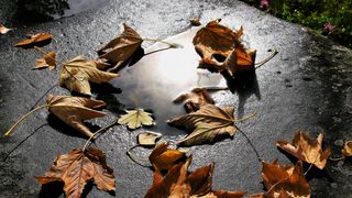 Vremea &icirc;n luna noiembrie 2021