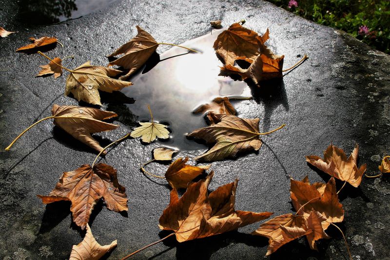 Vremea în luna noiembrie 2021